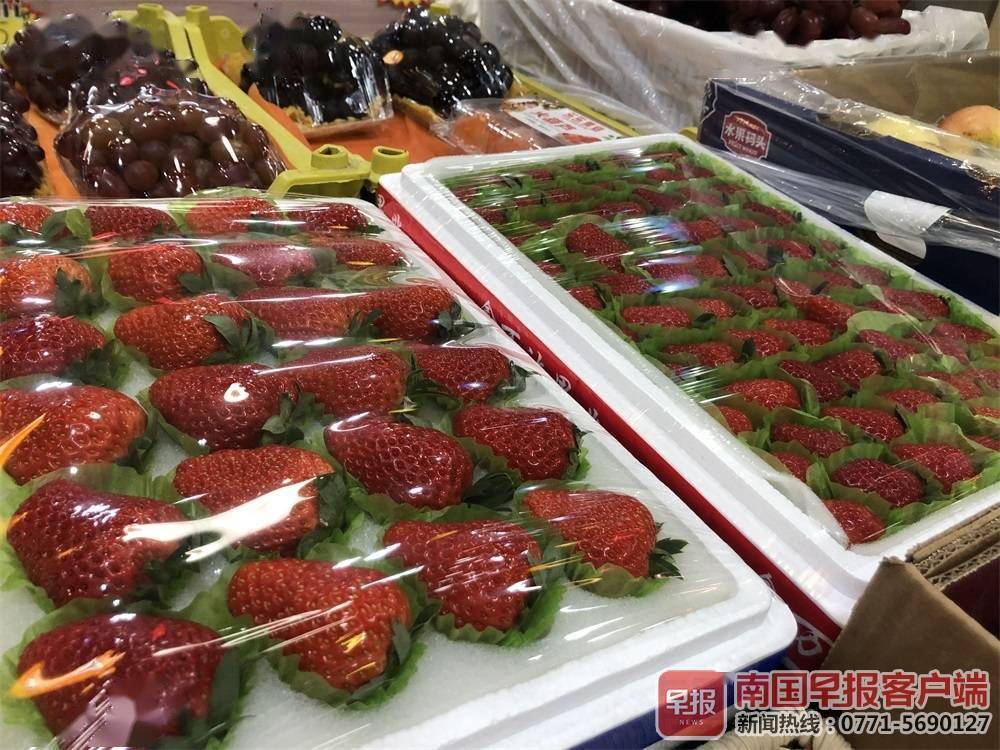 草莓初上市五六元一颗！爱吃草莓的市民不妨再等等(图1)
